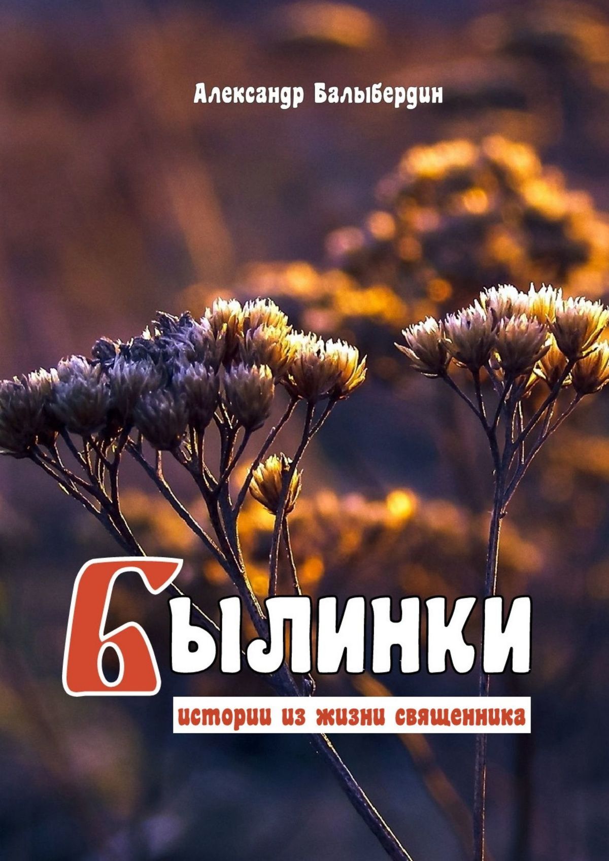 Балыбердин Александр - Былинки