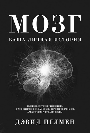 Иглмен - Мозг