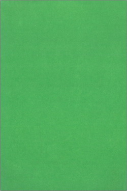 Оверхольцер - Книга без слов