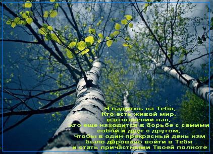 Ты - наш Мир