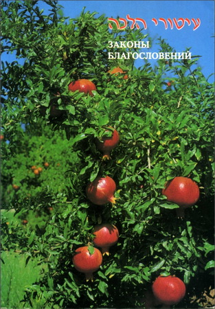 Рав Зеев Гринвальд - Законы благословений 