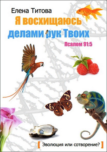 Я восхищаюсь делами рук Твоих - Титова Е.