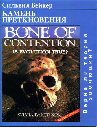 Сильвия Бейкер - Камень преткновения - Верна ли теория эволюции