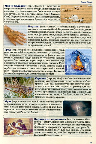 страница книги