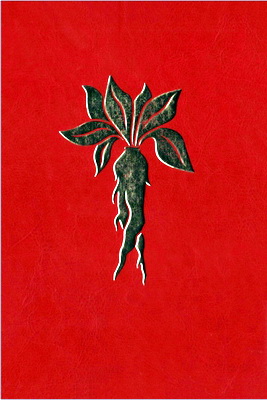 Дорин Валиенте - Азбука ведовства прошлого и настоящего