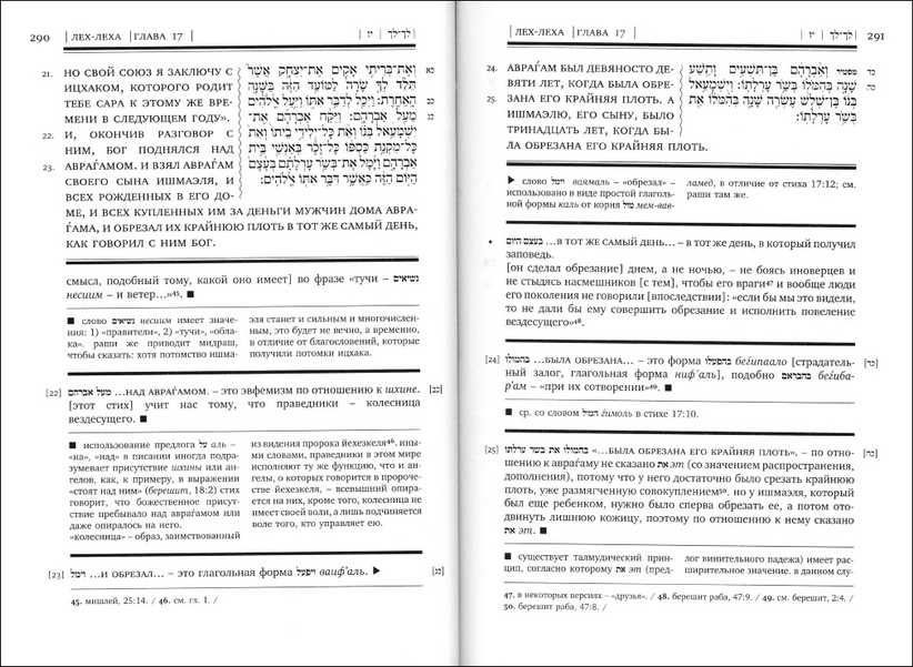 Тора с комментариями Раши - в 5 томах - Том 1 - Брейшит - Бытие