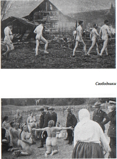 Свободники