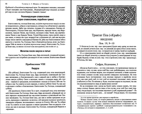 ТАЛМУД - Критический перевод Н. Переферковича - Том 1