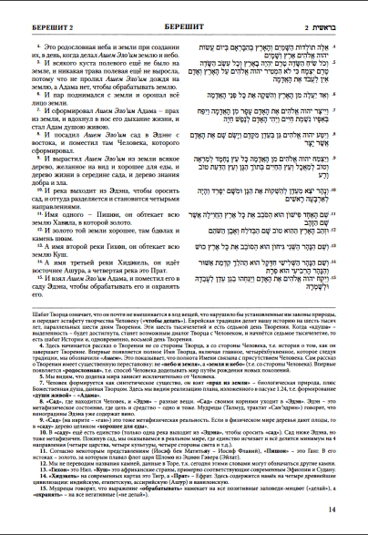 Тора из Цийона - Пятикнижие Моше - страница книги