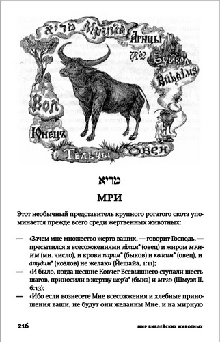 иллюстрация из книги