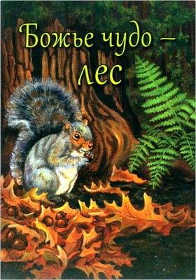 Ребекка Ньюсвангер Божьи чудо - лес