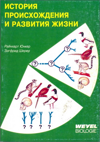 Райнхарт Юнкер, Зигфрид Шерер – История происхождения и развития жизни