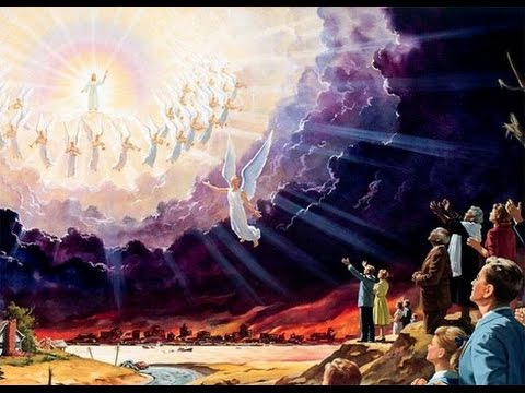 Жизнь явилась