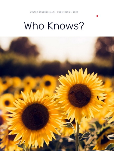 Брюггеман - Кто знает