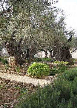 Абрамович - Крестный путь Спасителя