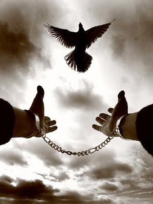 Бачинин - Секуляризм и гомосексуальная революция