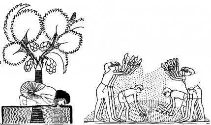 Вестель Юрий - Псалом 1 - перевод с масоретского текста и древних версий