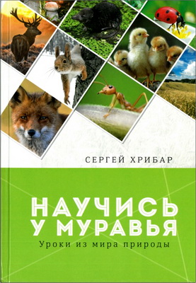 Сергей Хрибар - Научись у муравья – Уроки из мира природы