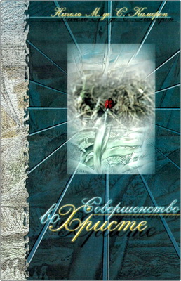 Нигель Камерон - Совершенство во Христе