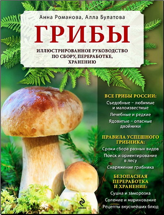 Анна Романова - Грибы